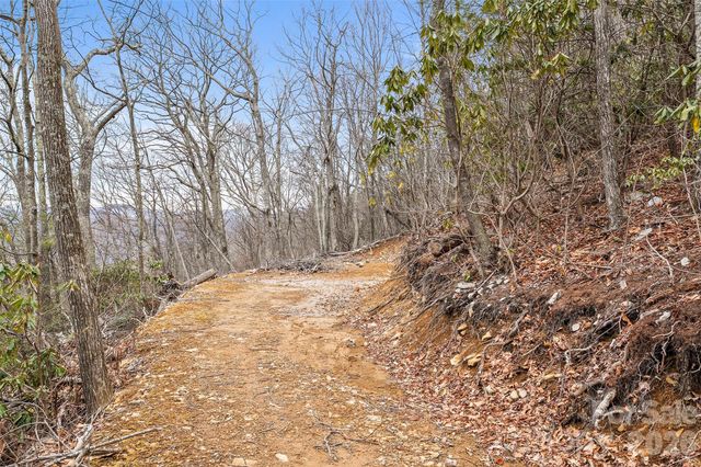 1480 Odalu Trail, Maggie Valley, NC 28751