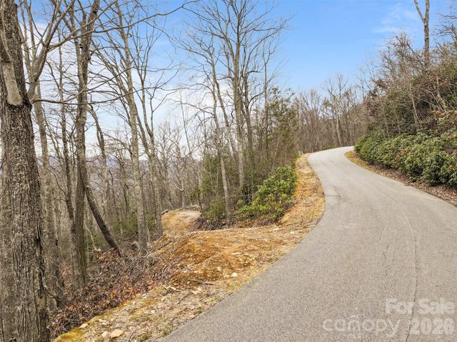 1480 Odalu Trail, Maggie Valley, NC 28751