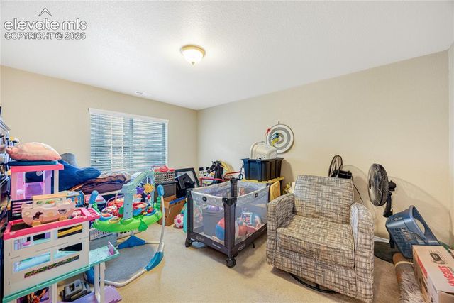 12659 Mt Antero Drive, Peyton, CO 80831