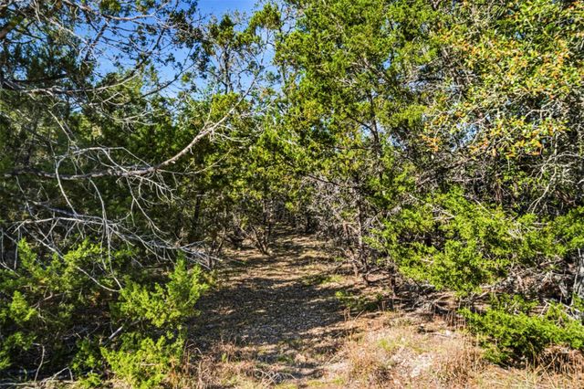1038 Hidden Hills DR, Dripping Springs, TX 78620