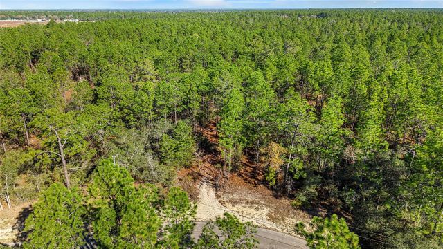 8941 N FARRINGTON DRIVE, Citrus Springs, FL 34433