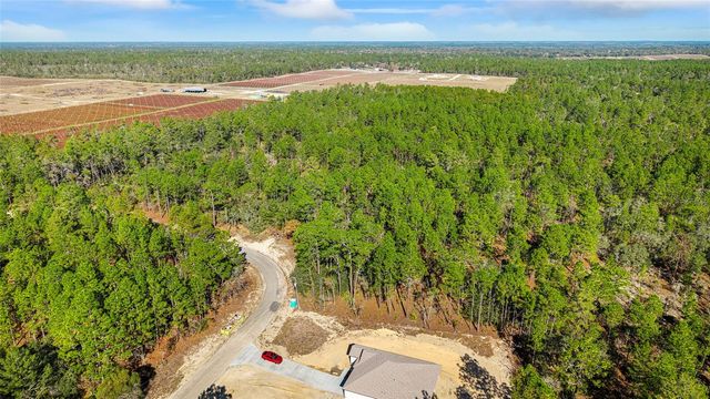 8941 N FARRINGTON DRIVE, Citrus Springs, FL 34433