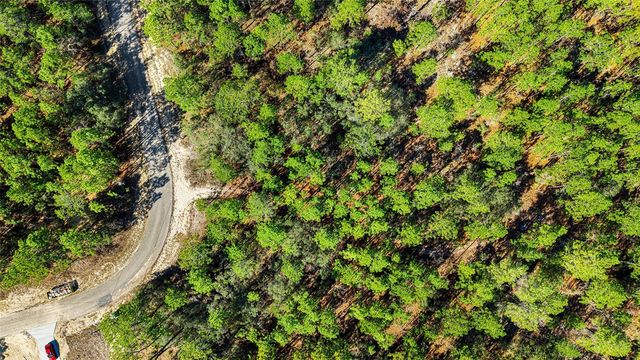 8941 N FARRINGTON DRIVE, Citrus Springs, FL 34433