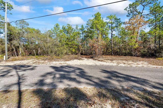 8941 N FARRINGTON DRIVE, Citrus Springs, FL 34433