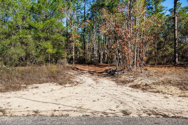 8941 N FARRINGTON DRIVE, Citrus Springs, FL 34433