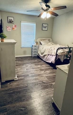 29 Coconut Palms Court, Manvel, TX 77578