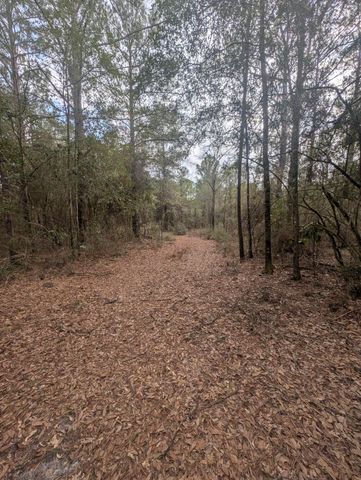 Lot 9 Plantation Lane, Defuniak Springs, FL 32433