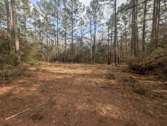 Lot 9 Plantation Lane, Defuniak Springs, FL 32433