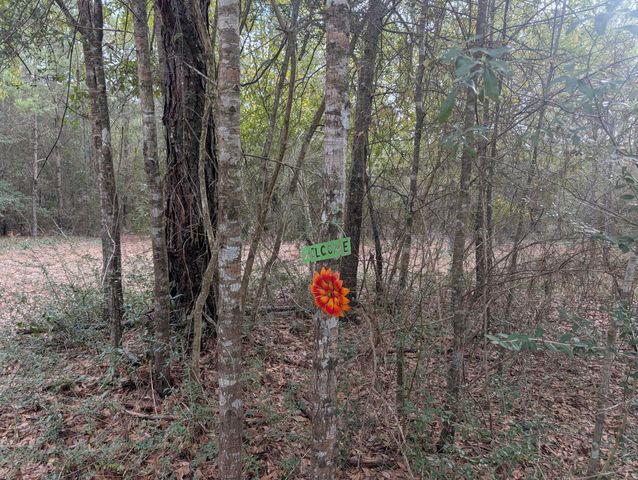 Lot 9 Plantation Lane, Defuniak Springs, FL 32433