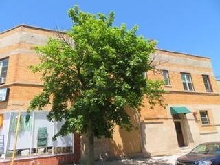 1552 W Highland Avenue 1E, Chicago, IL 60660