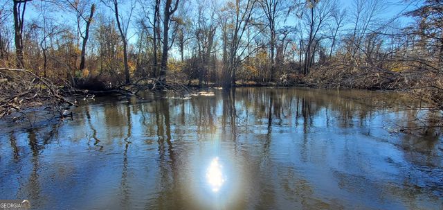 147 Brannen Landing Road, Midville, GA 30441