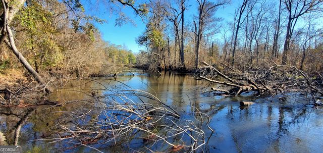 147 Brannen Landing Road, Midville, GA 30441