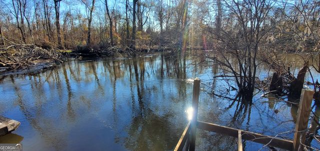 147 Brannen Landing Road, Midville, GA 30441