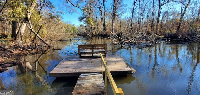 147 Brannen Landing Road, Midville, GA 30441