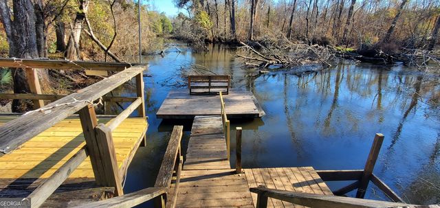 147 Brannen Landing Road, Midville, GA 30441