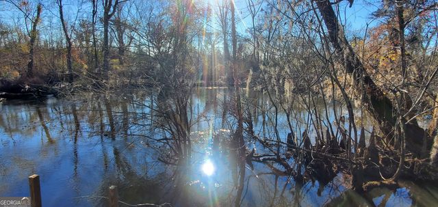 147 Brannen Landing Road, Midville, GA 30441