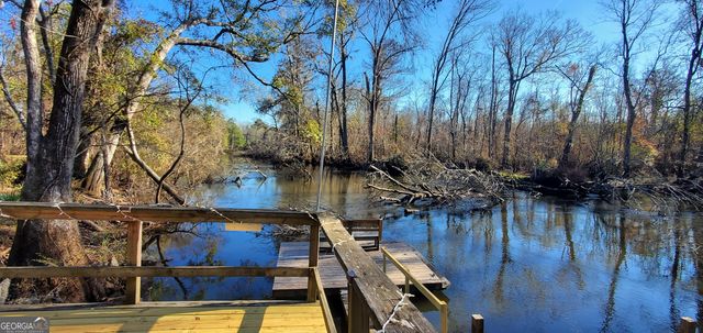 147 Brannen Landing Road, Midville, GA 30441