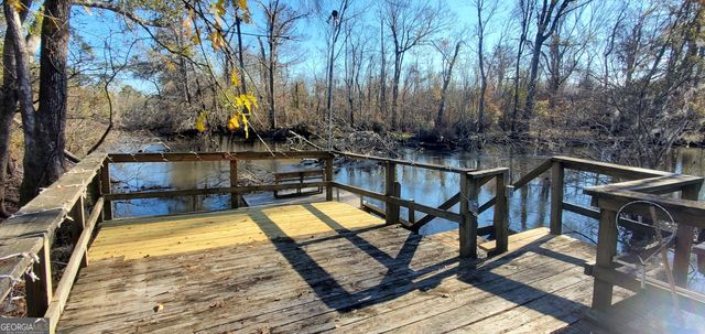 147 Brannen Landing Road, Midville, GA 30441
