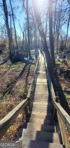 147 Brannen Landing Road, Midville, GA 30441