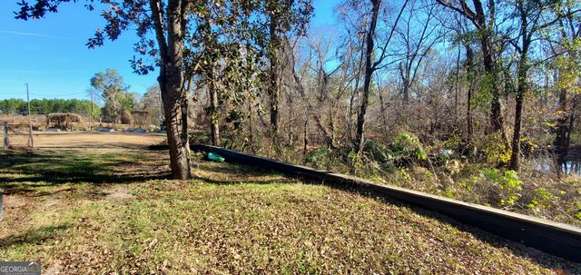 147 Brannen Landing Road, Midville, GA 30441