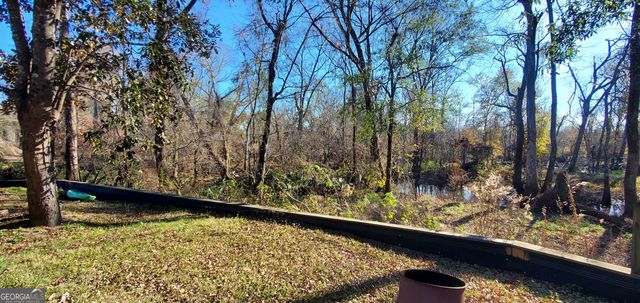 147 Brannen Landing Road, Midville, GA 30441