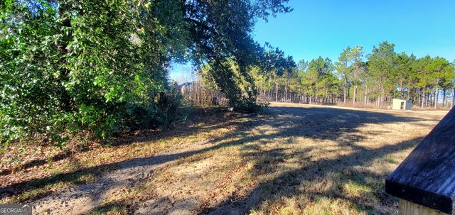 147 Brannen Landing Road, Midville, GA 30441