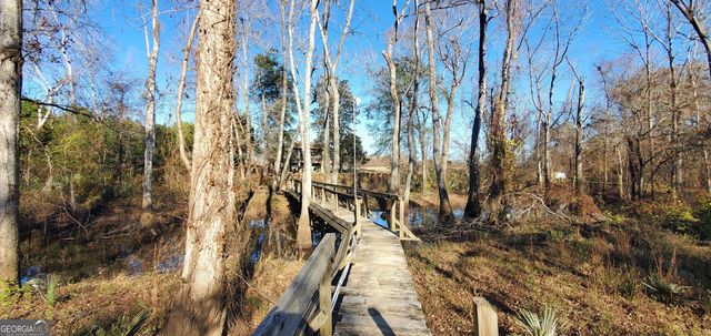 147 Brannen Landing Road, Midville, GA 30441