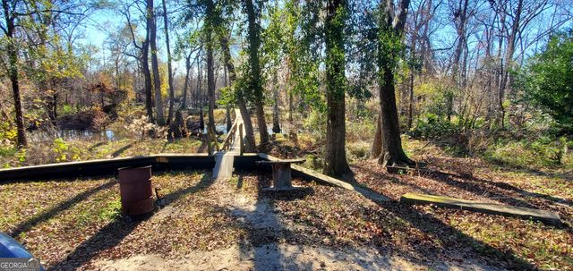 147 Brannen Landing Road, Midville, GA 30441
