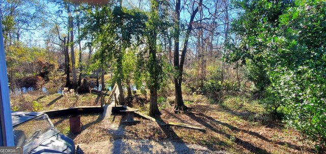 147 Brannen Landing Road, Midville, GA 30441