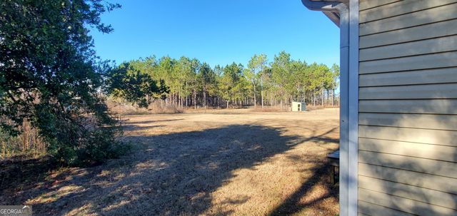 147 Brannen Landing Road, Midville, GA 30441