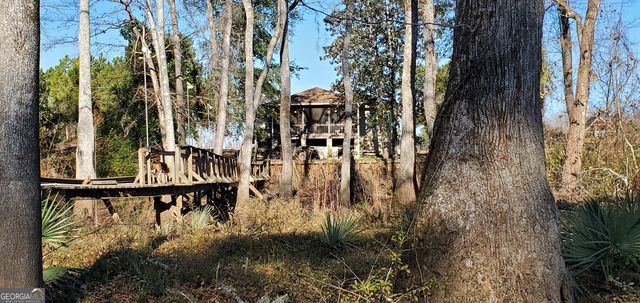 147 Brannen Landing Road, Midville, GA 30441