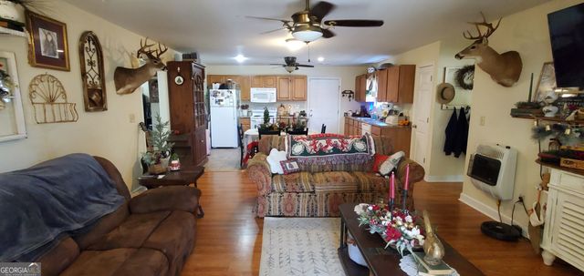 147 Brannen Landing Road, Midville, GA 30441