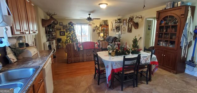 147 Brannen Landing Road, Midville, GA 30441