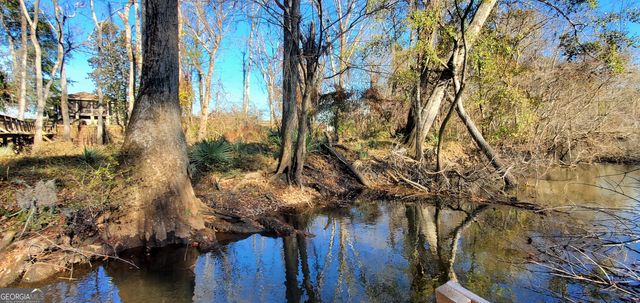 147 Brannen Landing Road, Midville, GA 30441