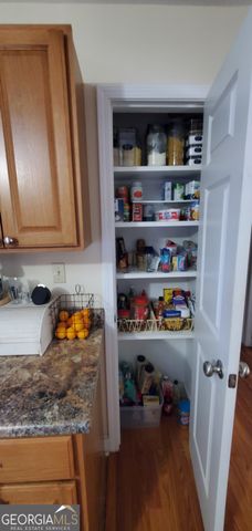 147 Brannen Landing Road, Midville, GA 30441