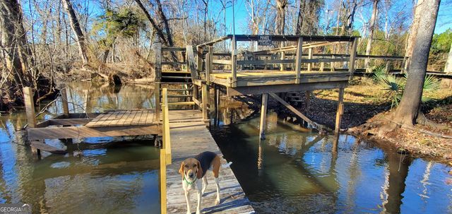 147 Brannen Landing Road, Midville, GA 30441