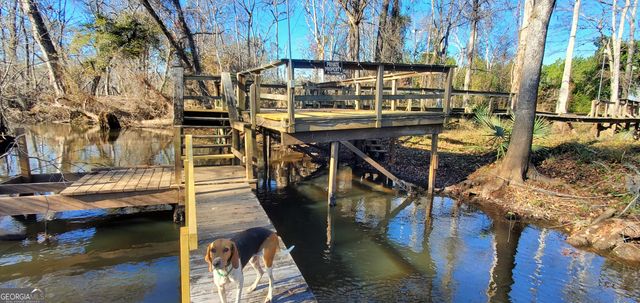 147 Brannen Landing Road, Midville, GA 30441