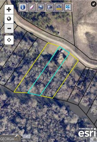 147 Brannen Landing Road, Midville, GA 30441