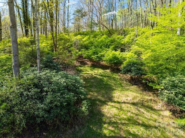1482 Island Ford Road, Brevard, NC 28712