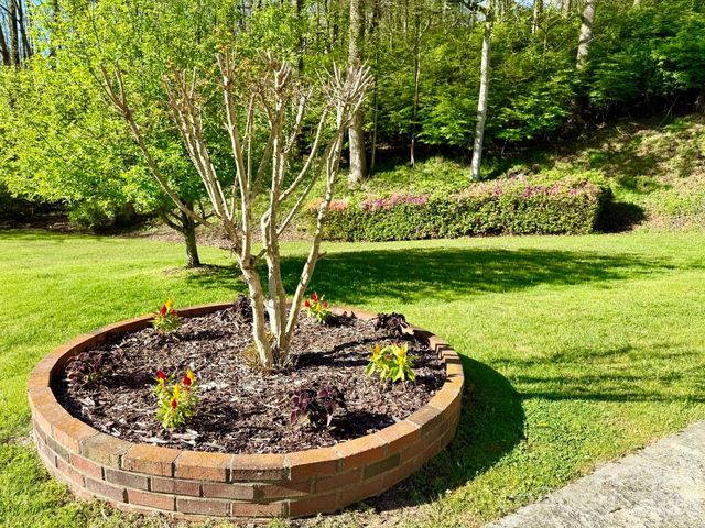1482 Island Ford Road, Brevard, NC 28712