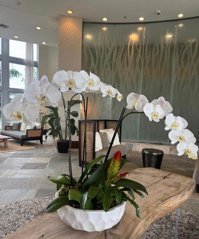 2641 N Flamingo Rd 1505N, Sunrise, FL 33323