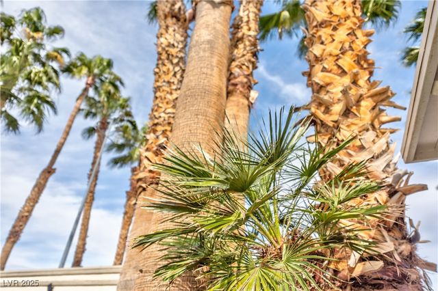 3784 Pama Lane, Las Vegas, NV 89120