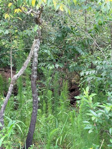 LOT 9 HARDSTONE DRIVE, Webster, FL 33597