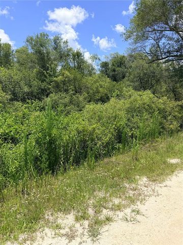 LOT 9 HARDSTONE DRIVE, Webster, FL 33597