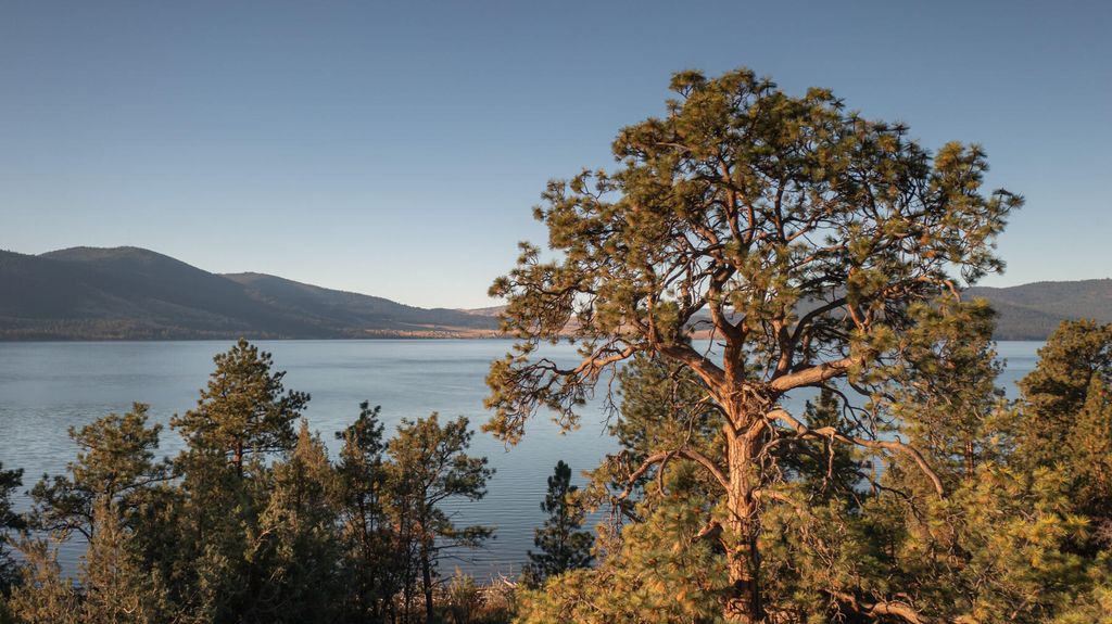 Nhn Cromwell Island Road, Dayton, MT 59914 photo 29