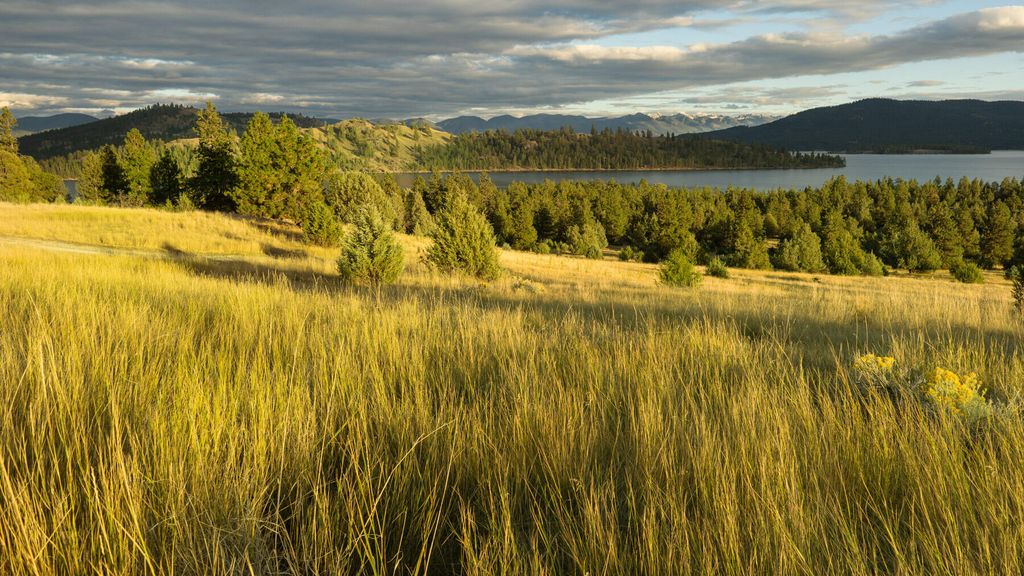 Nhn Cromwell Island Road, Dayton, MT 59914 photo 36