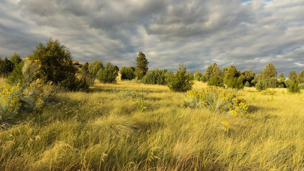 Nhn Cromwell Island Road, Dayton, MT 59914 photo 80