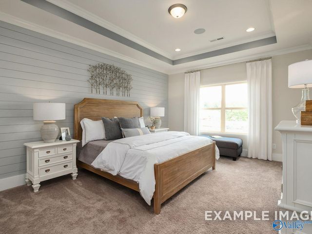 118 Cotita Drive, Toney, AL 35773