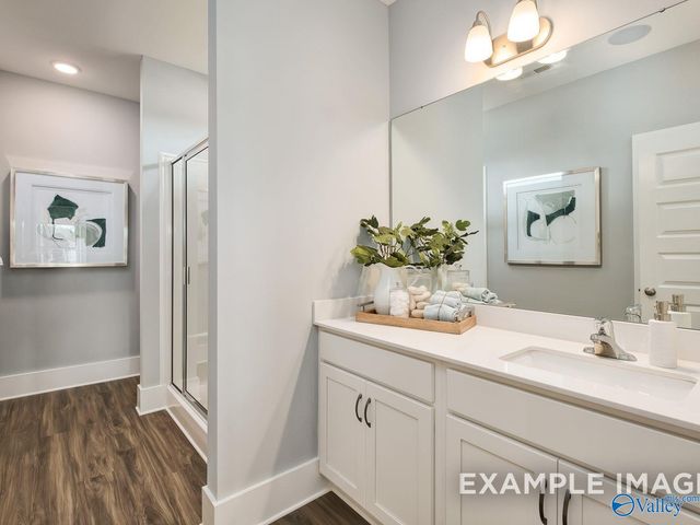 118 Cotita Drive, Toney, AL 35773