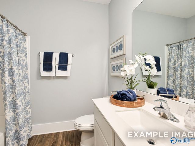 118 Cotita Drive, Toney, AL 35773